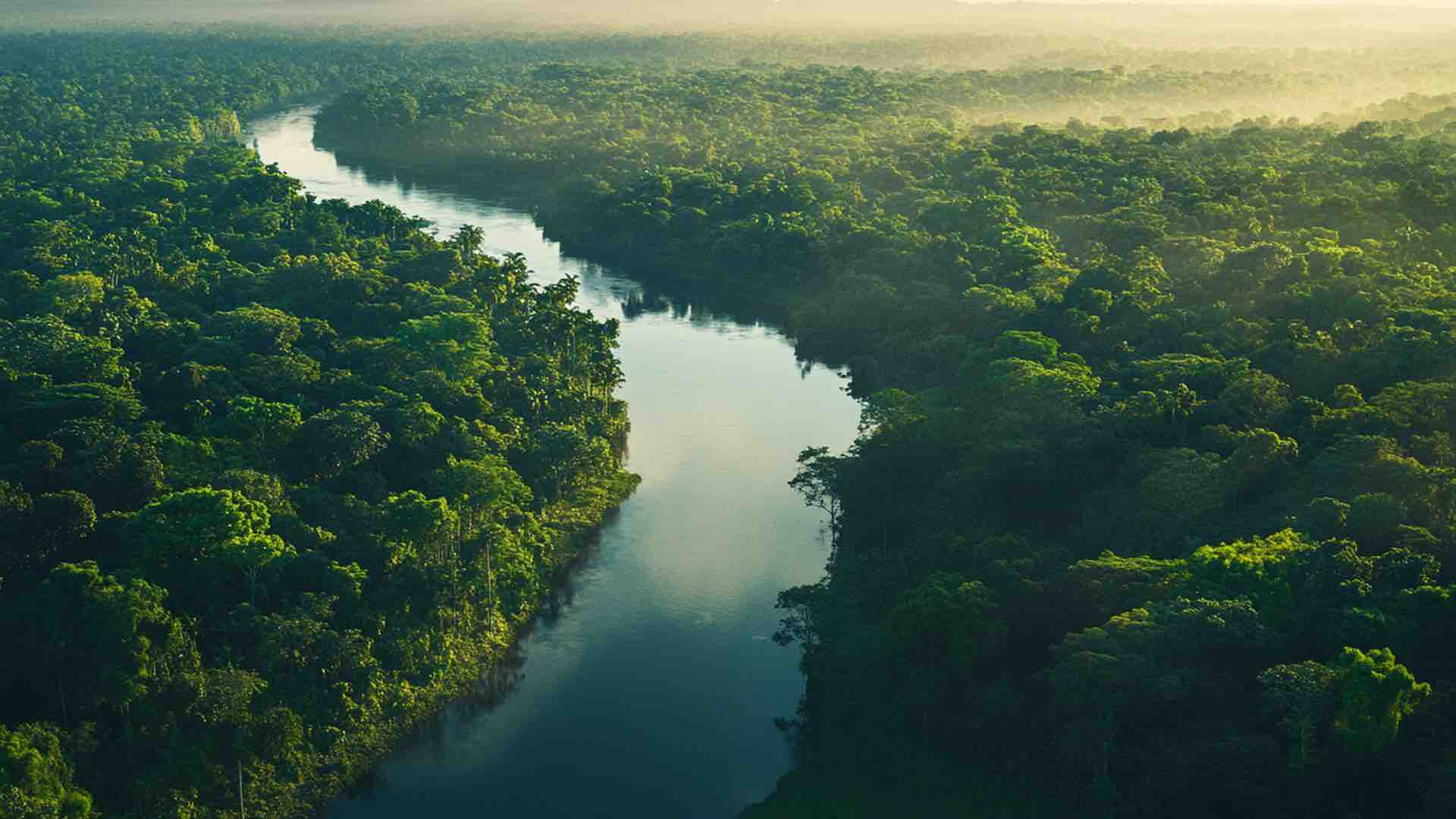 Severe drought causes Amazon tributary to drop to record low levels